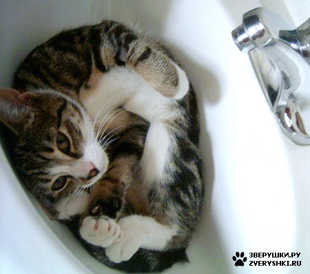 ���� ����� ������ :)